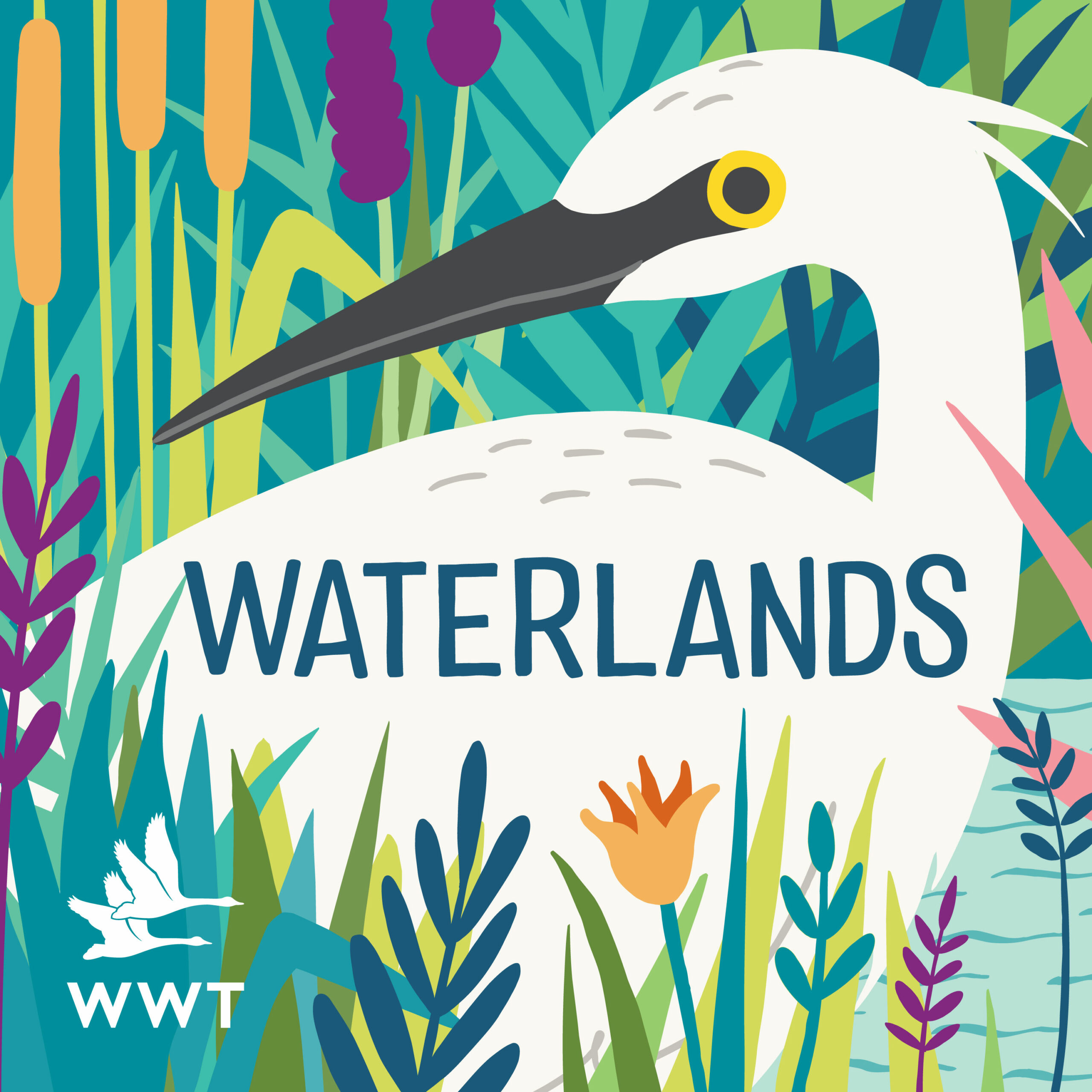 wwt Waterlands artwork