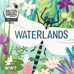Waterlands
